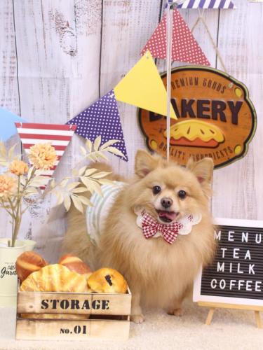 20240920リーくん